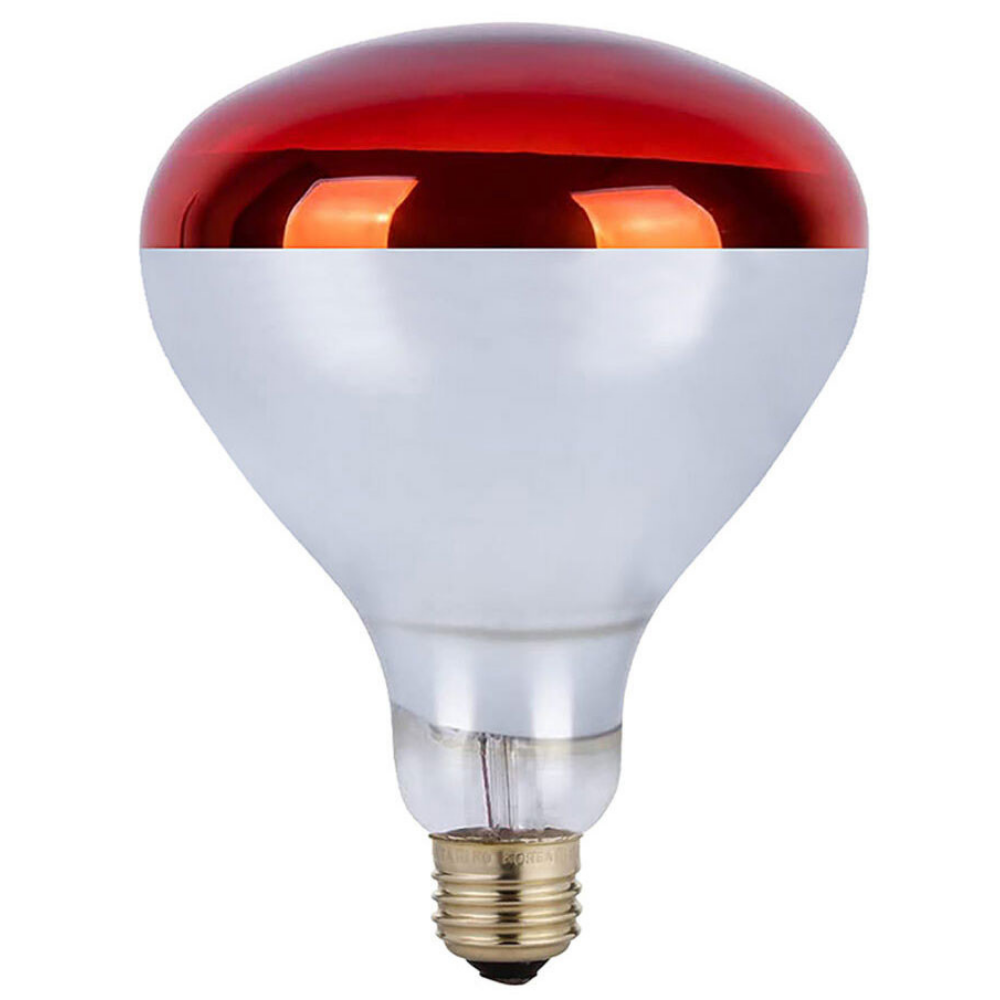 250 Watt Infrared Brooder Chicken Coop Hen Red Heat Lamp R40 E26, 24 Pack