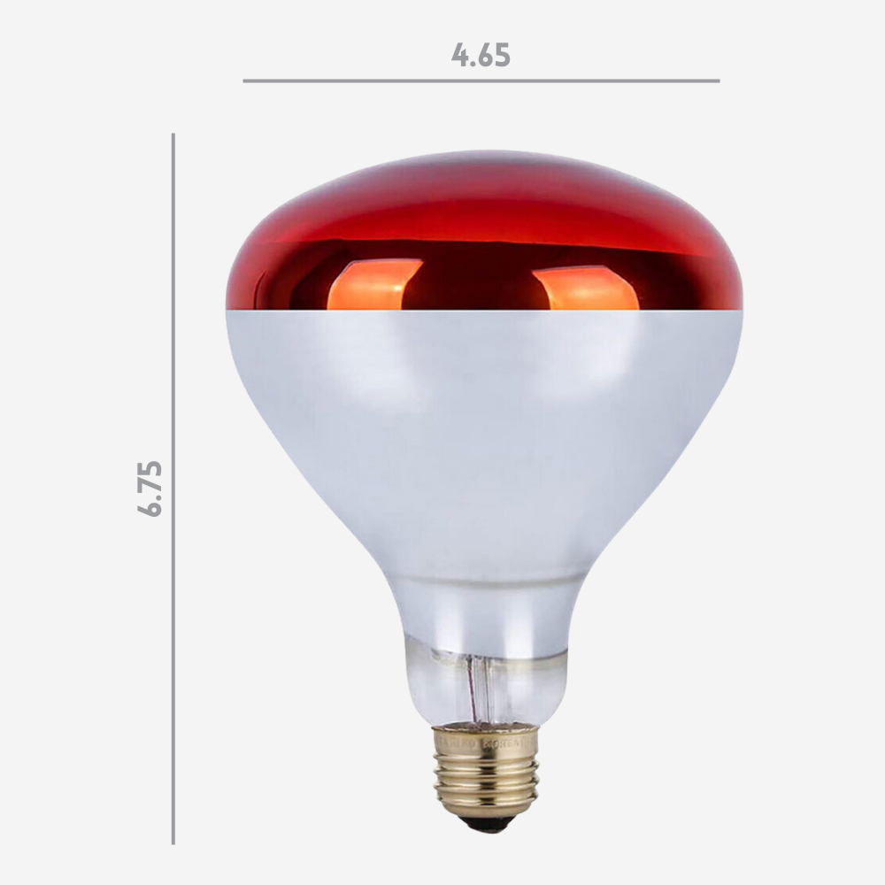 250 Watt Infrared Brooder Chicken Coop Hen Red Heat Lamp R40 E26, 24 Pack