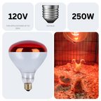 250 Watt Infrared Brooder Chicken Coop Hen Red Heat Lamp R40 E26, 24 Pack