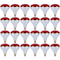 250 Watt Infrared Brooder Chicken Coop Hen Red Heat Lamp R40 E26, 24 Pack