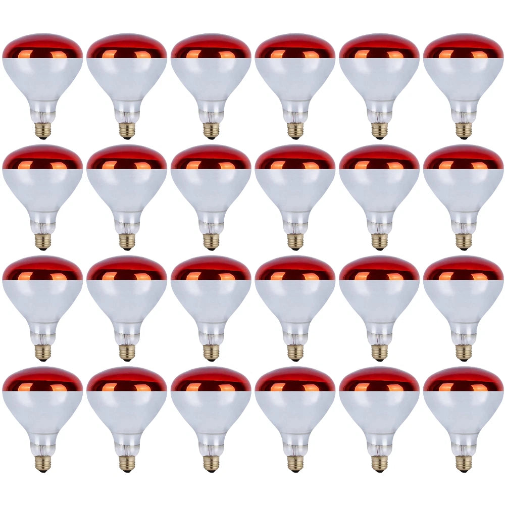 250 Watt Infrared Brooder Chicken Coop Hen Red Heat Lamp R40 E26, 24 Pack